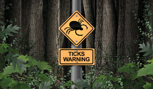 Enjoy the outdoors, but be tick smart!